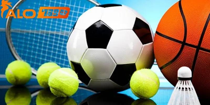 Người chơi cần theo dõi tỷ lệ thắng thua của các đội bóng